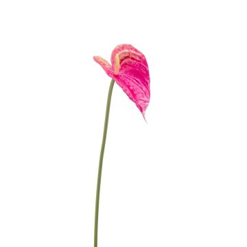 Artificial flower Anthurium XYLON, fuchsia, 20"/50cm