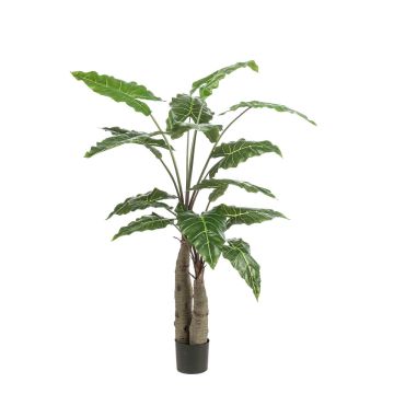 Artificial Alocasia Sanderiana ALBULA, green, 5ft/150cm