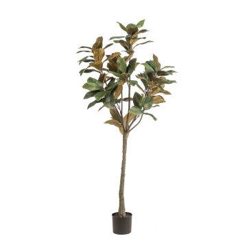 Artificial Yulan magnolia BELLITA, artificial stem, green-olive, 5ft/150cm