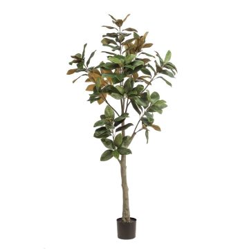 Artificial Yulan magnolia BELLITA, artificial trunk, green-olive, 6ft/180cm