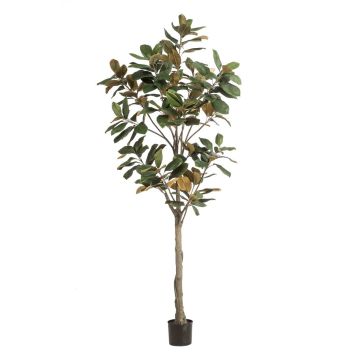 Artificial Yulan magnolia BELLITA, artificial stem, green-olive, 7ft/210cm