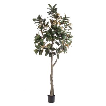 Artificial Yulan magnolia BELLITA, artificial stem, green-olive, 8ft/240cm