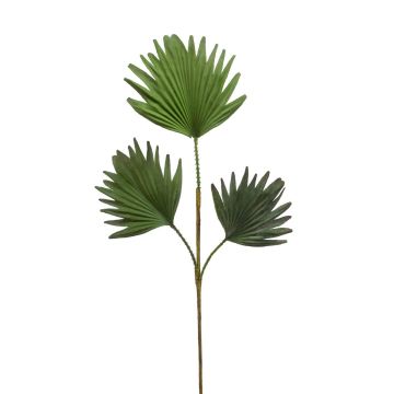 Decorative branch Washingtonia palm frond VELTA, green, 31"/80cm