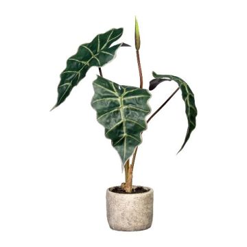 Artificial plant Alocasia Sanderiana GRINO in cement pot, green, 24"/60cm