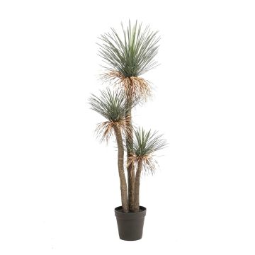 Artificial Yucca Rostrata DENALI in decorative pot, 6ft/180cm