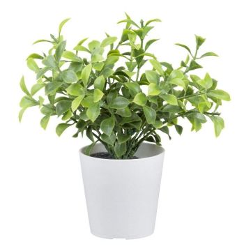 Artificial plant Boxwood PARAM, 6"/15cm