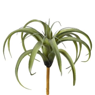 Artificial succulent Tillandsia stricta TEMRA, spike, green, 10"/26cm, Ø12"/30cm