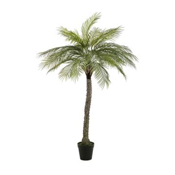 Artificial coconut palm BOLON, 5ft/160cm