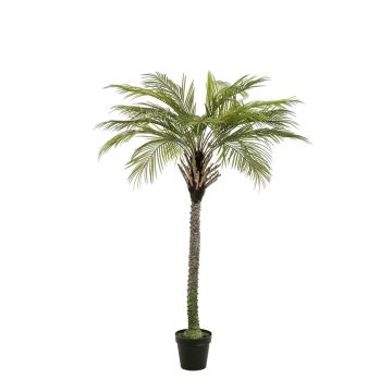 Artificial coconut palm BOLON, 6ft/180cm