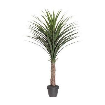 Artificial palm Yucca rostrata QUIME in decorative pot, 4ft/115cm