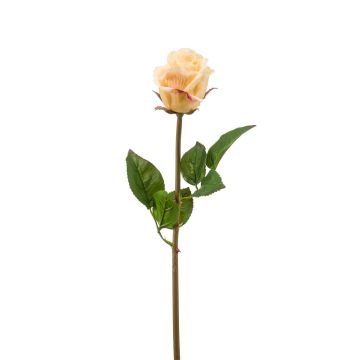 False flower Rose GENIO, light yellow, 24"/60cm