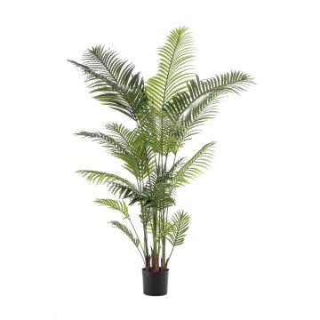 Artificial areca palm TAWAN, 7ft/200cm