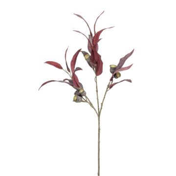 Decorative branch of eucalyptus GLICO with fruits, burgundy red, 33"/85cm