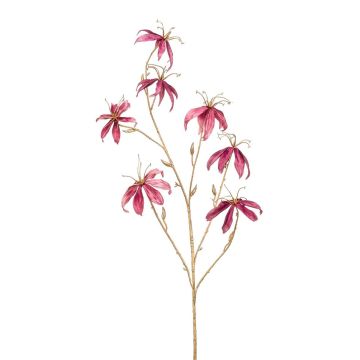 Velvet gloriosa KAZBEK, dusky pink-gold, 4ft/110cm