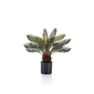 Decorative palm Cycas NEREO, 18"/45cm