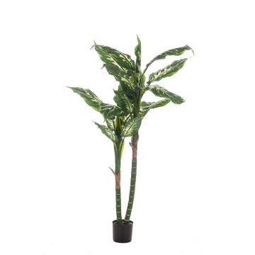 Artificial dieffenbachia LATRIXA, green-white, 5ft/150cm