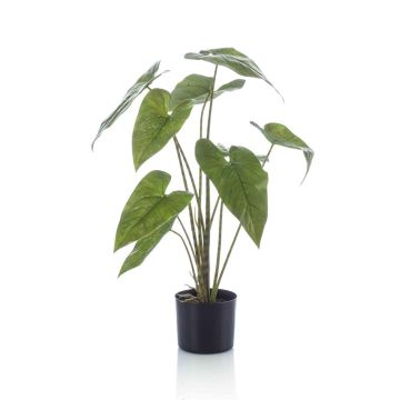 Artificial plant Alocasia Zebrina LEFKA with roots, green, 30"/75cm