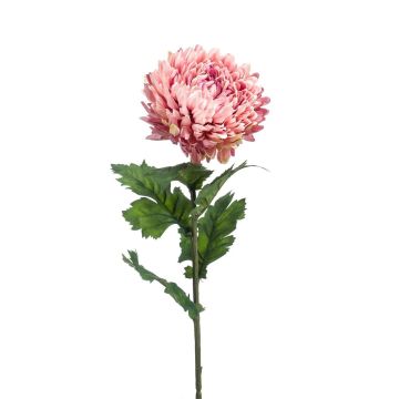 Artificial chrysanthemum LAZO, dusky pink, 30"/75cm