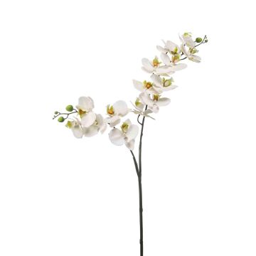 Plastic Phalaenopsis orchid branch WANTA, white, 3ft/100cm