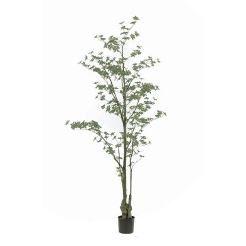 Decorative tree Nasturtium SULLA, artificial stem, green, 7ft/210cm