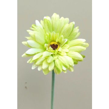 Artificial gerbera flower TEUDELINDE, green-cream, 22"/55cm, Ø3.1"/8cm