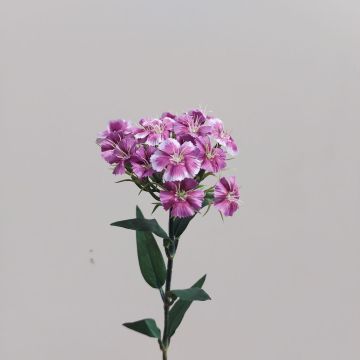 Fake flower Sweet William SUSILAWA, violet-white, 22"/55cm