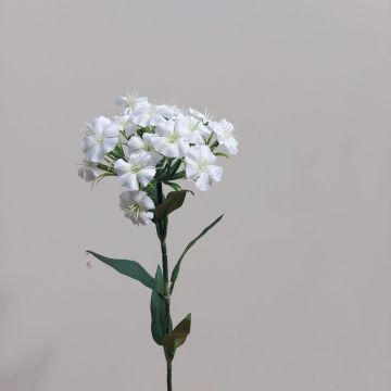 Fake flower Sweet William SUSILAWA, white-cream, 22"/55cm