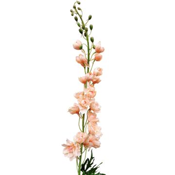 Fake flower Delphinium RADUNIA, apricot, 3ft/100cm