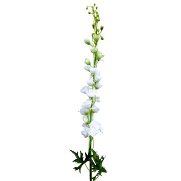 Fake flower Delphinium RADUNIA, cream-white, 3ft/100cm