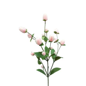 Decorative flower branch Globe amaranth THUSNELDA, pink-white, 28"/70cm