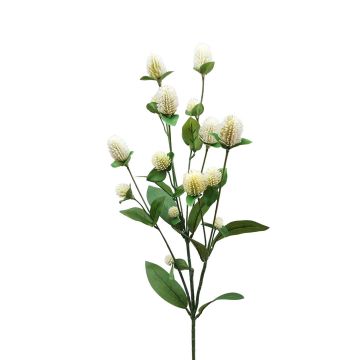 Decorative flower branch Globe amaranth THUSNELDA, cream-white, 28"/70cm