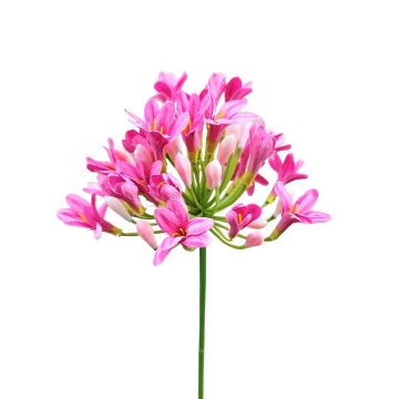 Plastic flower Agapanthus OMOLON, pink, 30"/75cm