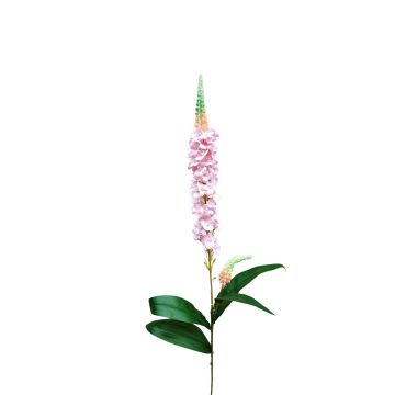 Decorative speedwell RUNHERDA, pink, 30"/75cm