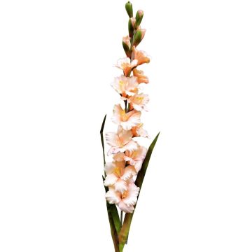 Plastic flower Gladiolus THEOPHORA, apricot-pink, 4ft/110cm