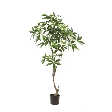 Artificial pachira tree CANTSA, artificial trunk, 5ft/150cm