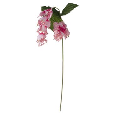 Artificial flower branch Medinilla LASENTER, pink, 5ft/140cm