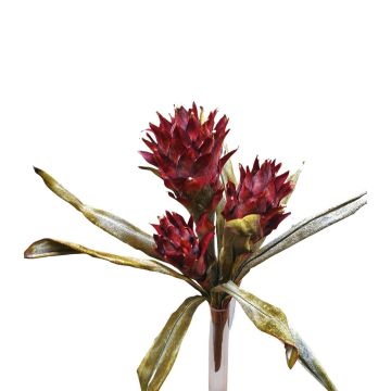 Velvet guzmania WALFRIEDE on spike, burgundy red, 20"/50cm