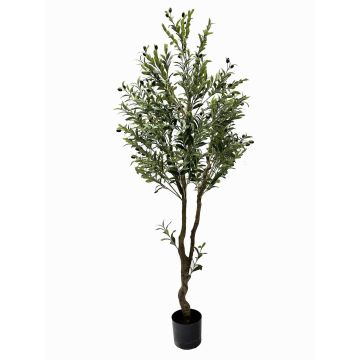 Artificial olive tree SANKURU with fruits, artificial trunk, 6ft/180cm