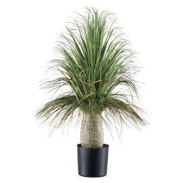 Decorative palm Grass tree COOSA, 24"/60cm