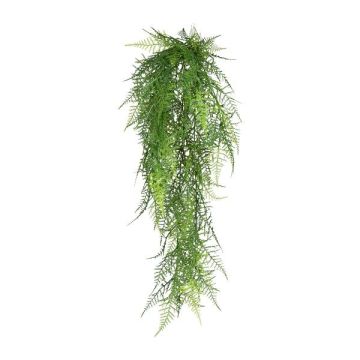 Artificial hanging plant Asparagus plumosus QUALO, spike, 31"/80cm