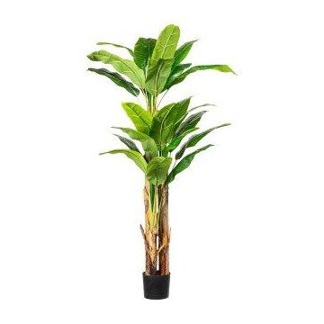 Artificial palm Banana plant FABIEN, 6ft/180cm