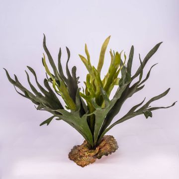 Artificial Hart's-tongue fern CHARLS, spike, green, 18"/45cm, Ø 31"/80cm