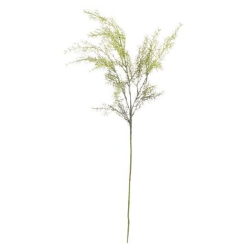 Artificial asparagus sprengeri RUNAL, green, 31"/80cm