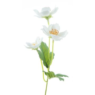 False flower Bellis MORKI, cream, 10"/25cm