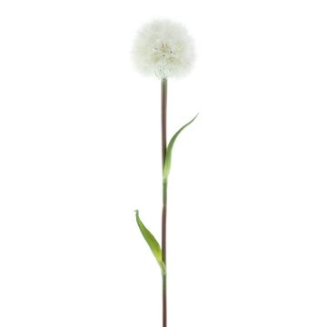 Artificial dandelion ZARSO, white, 28"/70cm