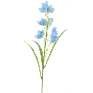 False flower Gentian REGGY, blue, 20"/50cm