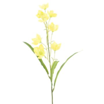 False flower Gentian REGGY, yellow, 20"/50cm