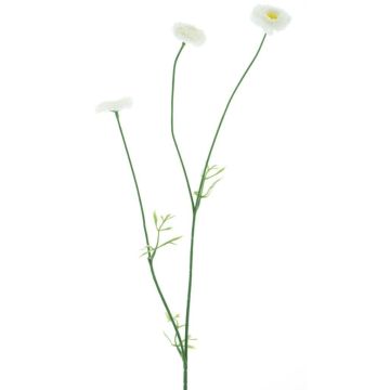 Decorative flower branch Bellis NIKSA, cream, 22"/55cm