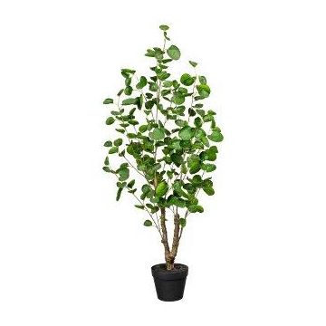 Artificial plant Polyscias MULVI, decorative pot, artificial stem, 4ft/110cm