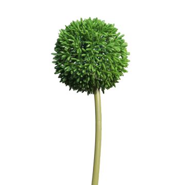 Artificial allium BAILIN, green, 26"/65cm